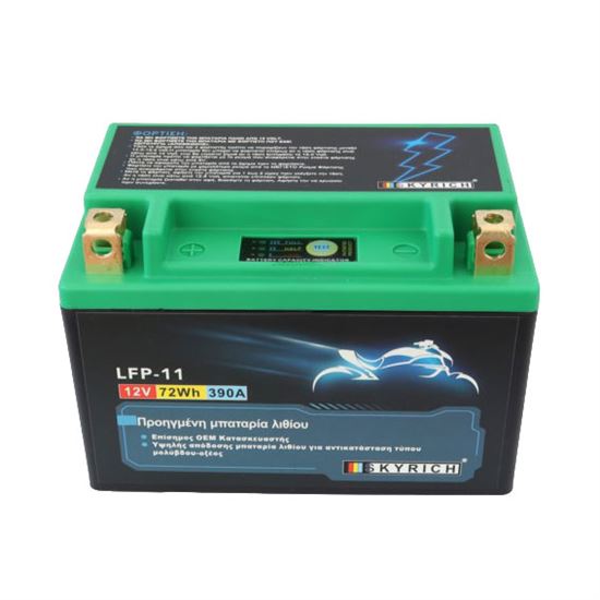 SKYRICH LFP-11 Lithium Battery 360CA