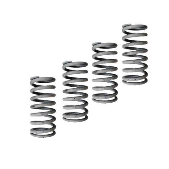 Spring Clutch Kit Genuine Honda CBR125 (4 pcs)