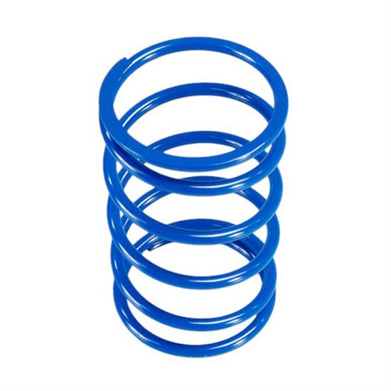 Polini 243.078 Clutch Spring Piaggio X10 500