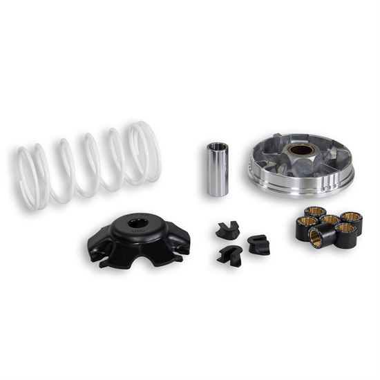Βαριατόρ (multivar) MALOSSI HONDA BALI 100 2t