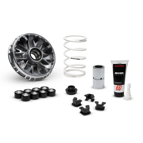 MALOSSI Multivar Zontes 350E / 350D  368