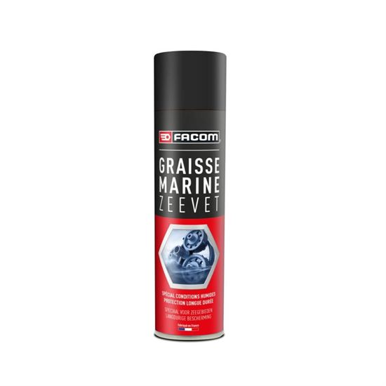 Σπρέι Γράσο Θαλάσσης Facom 300ml