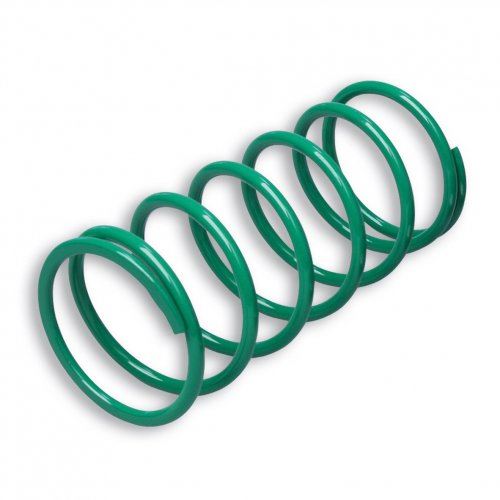 Green Variator Adjuster Spring Malossi 2914401.G0