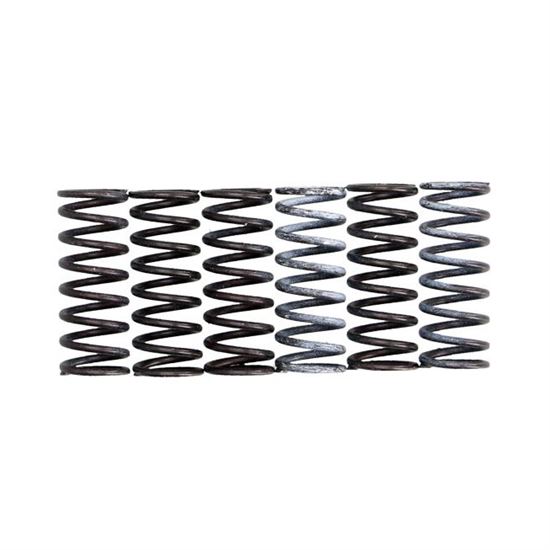 TRW Lucas Clutch springs set Suzuki V-Strom 650