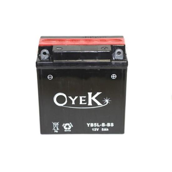 Battery YB5L-B-BS (12N5-3B)