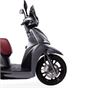 Ζελατίνα Malossi Dark Smoke KYMCO People 300 S 2019>