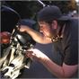CAT CT7105 300 Lumens