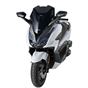 Ermax Sport Screen Honda FORZA 350 2021 -2023