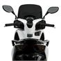 Malossi Dark Smoke Honda SH150 17-19