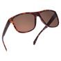 Oxford Sahara Tortoise Shell Frame Brown Lens Sunglasses