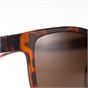 Oxford Sahara Tortoise Shell Frame Brown Lens Sunglasses