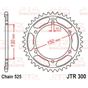 Πίσω Γρανάζι JT Sprockets JTR300.42ZBK