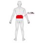Back holder Lampa