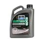 BEL RAY EXS 99161 synthetic ester 10W-40 MA2 4L Engine Oil