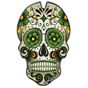 Tank Protector PUIG 3673V Skull Blue
