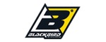 BLACKBIRD