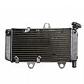 Cooling System Yamaha XT660
