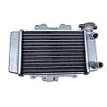 Water Cooling System Honda SH150 05-12