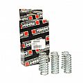 Σετ Ελατήρια Συμπλέκτη Ferodo Racing FSS0128