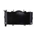 Cooling System Yamaha TDM 900
