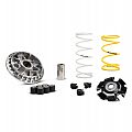 Βαριατόρ (multivar) MALOSSI Για Honda PCX 125 18-20
