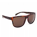 Γυαλιά Ηλίου Oxford Sahara Tortoise Shell Frame Brown Lens