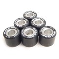 Rollers - Variator MALOSSI F16 X 13 (14 gr)