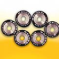Rollers - Variator MALOSSI F25 X 17 (15 gr)