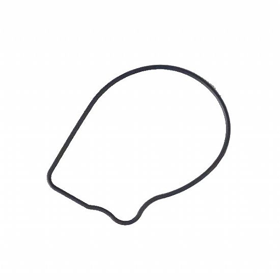 Water Pump Gasket Genuine Honda SH300