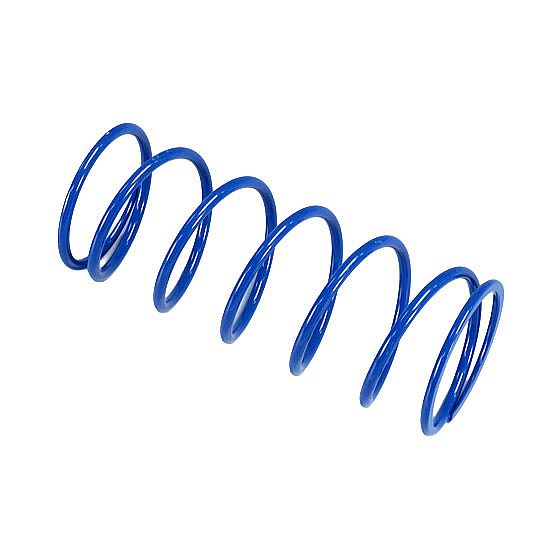 Polini 243.076 Spring Clutch HONDA SH 125/150