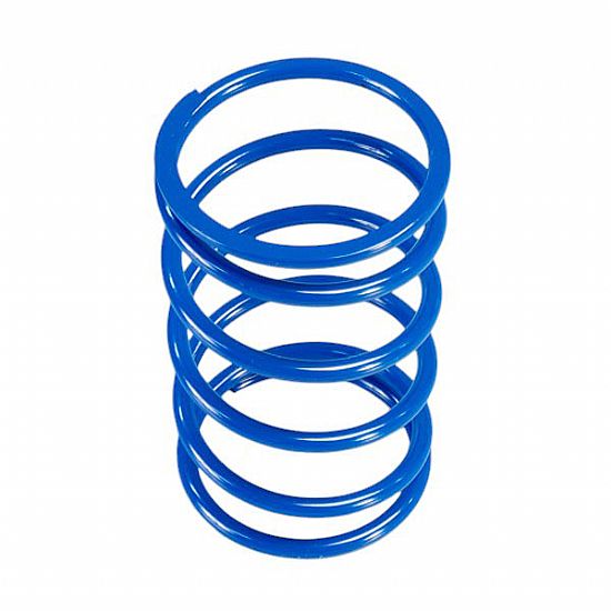 Polini 243.078 Clutch Spring Piaggio X10 500
