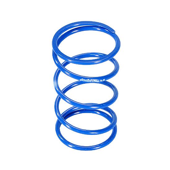 Clutch Spring Polini Piaggio Beverly 350