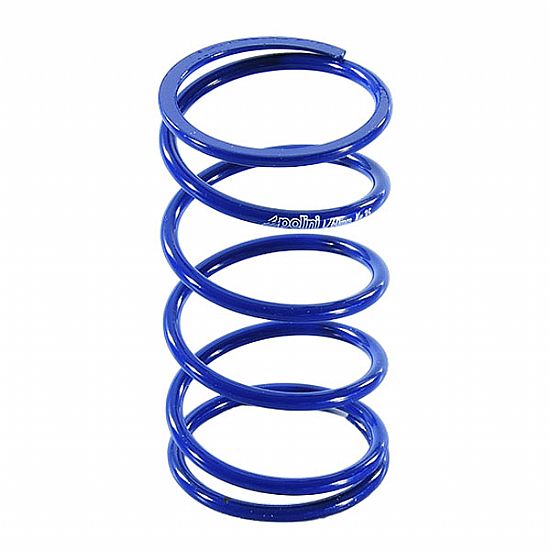 Polini Clutch Spring Honda SH 125/150 - NMAX 125/150