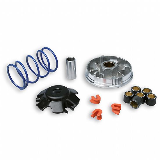 Variator (multivar) MALOSSI SPEEDFIGHT 100