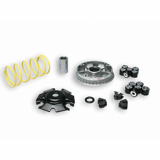 Variator (Multivar) MALOSSI for KYMCO Agility 200