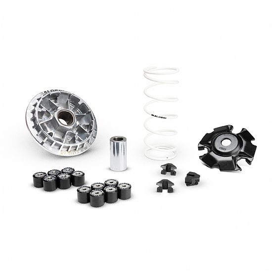 Βαριατόρ (multivar) MALOSSI Για Honda PCX 125 21-25