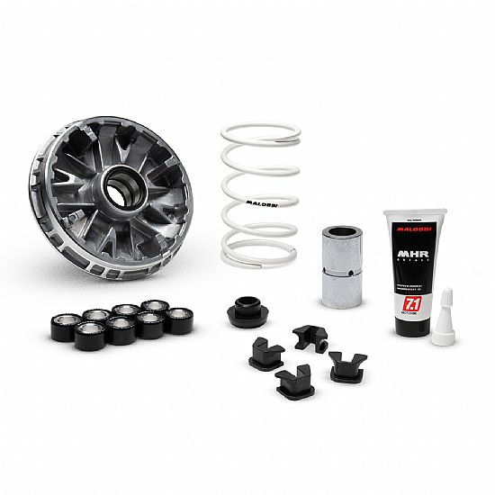 MALOSSI Multivar Zontes 350E / 350D  368