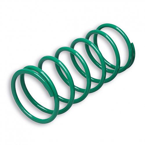 Green Variator Adjuster Spring Malossi 2914401.G0