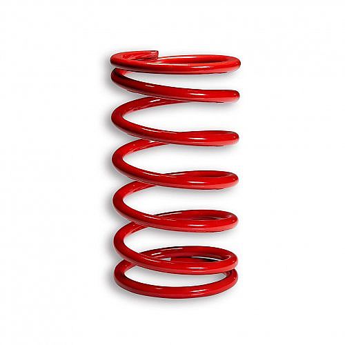 Malossi Red Variator Adjuster Spring Red