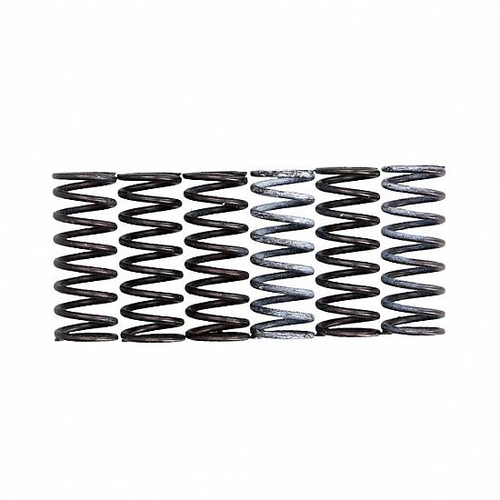 TRW Lucas Clutch springs set Suzuki V-Strom 650