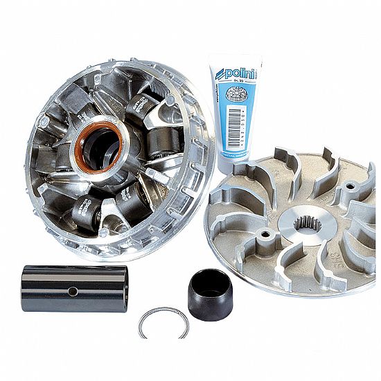 Polini Variator Hi Speed SH300