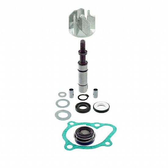 Water Pump Kit RMS Kymco Downtown 200-300 100110490