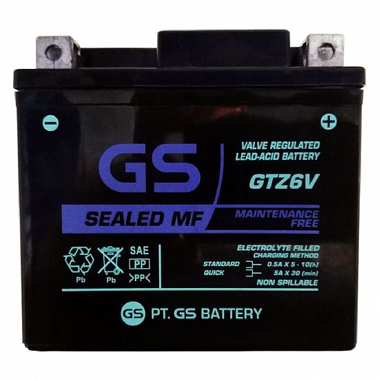 GS Battery GTZ6V