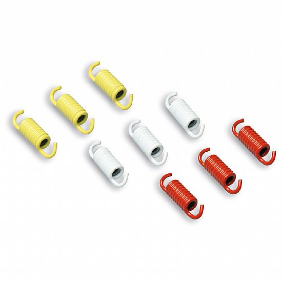Racing Spring Set Clutch Malossi