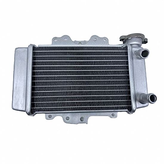 Water Cooling System Honda SH150 05-12