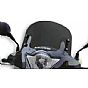 Sport screen MALOSSI MHR HONDA SH-150 2013
