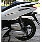 BIG PHOTO PCX