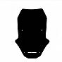 Dark Smoke Malossi Screen Honda X-ADV 750 21-25