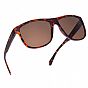 Oxford Sahara Tortoise Shell Frame Brown Lens Sunglasses