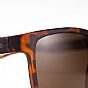 Oxford Sahara Tortoise Shell Frame Brown Lens Sunglasses